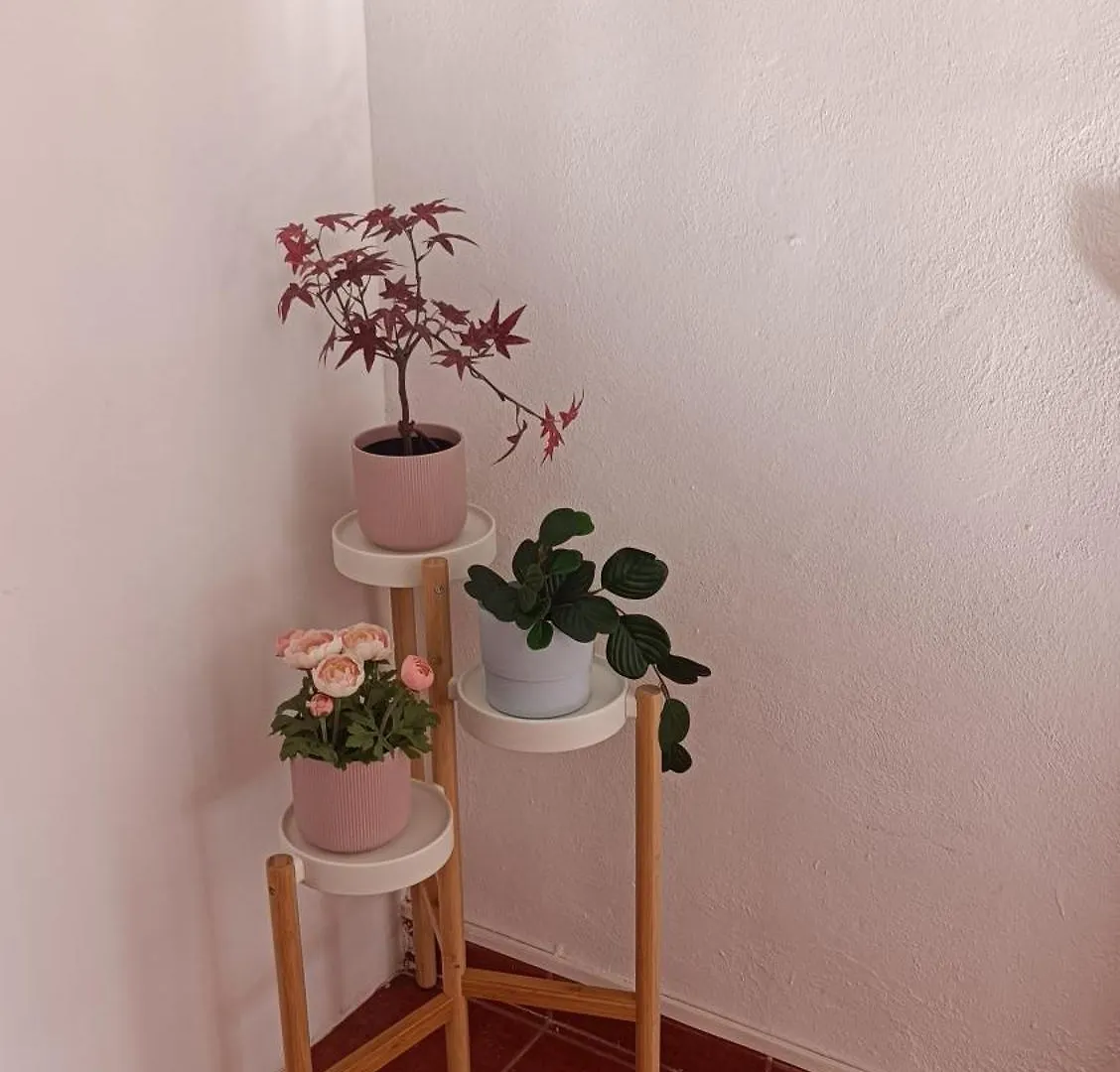 Precioso Apartamento La Jaca 0*,  Spain